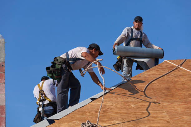 Best Gutter Installation and Roofing  in Henrietta, TX